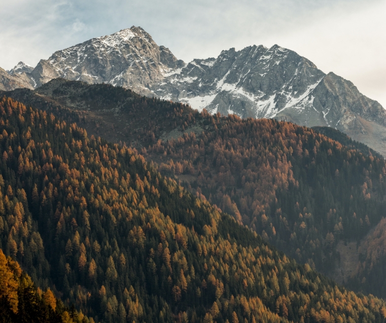 Eberhard Grossgasteiger Dwic9fwemgy Unsplash