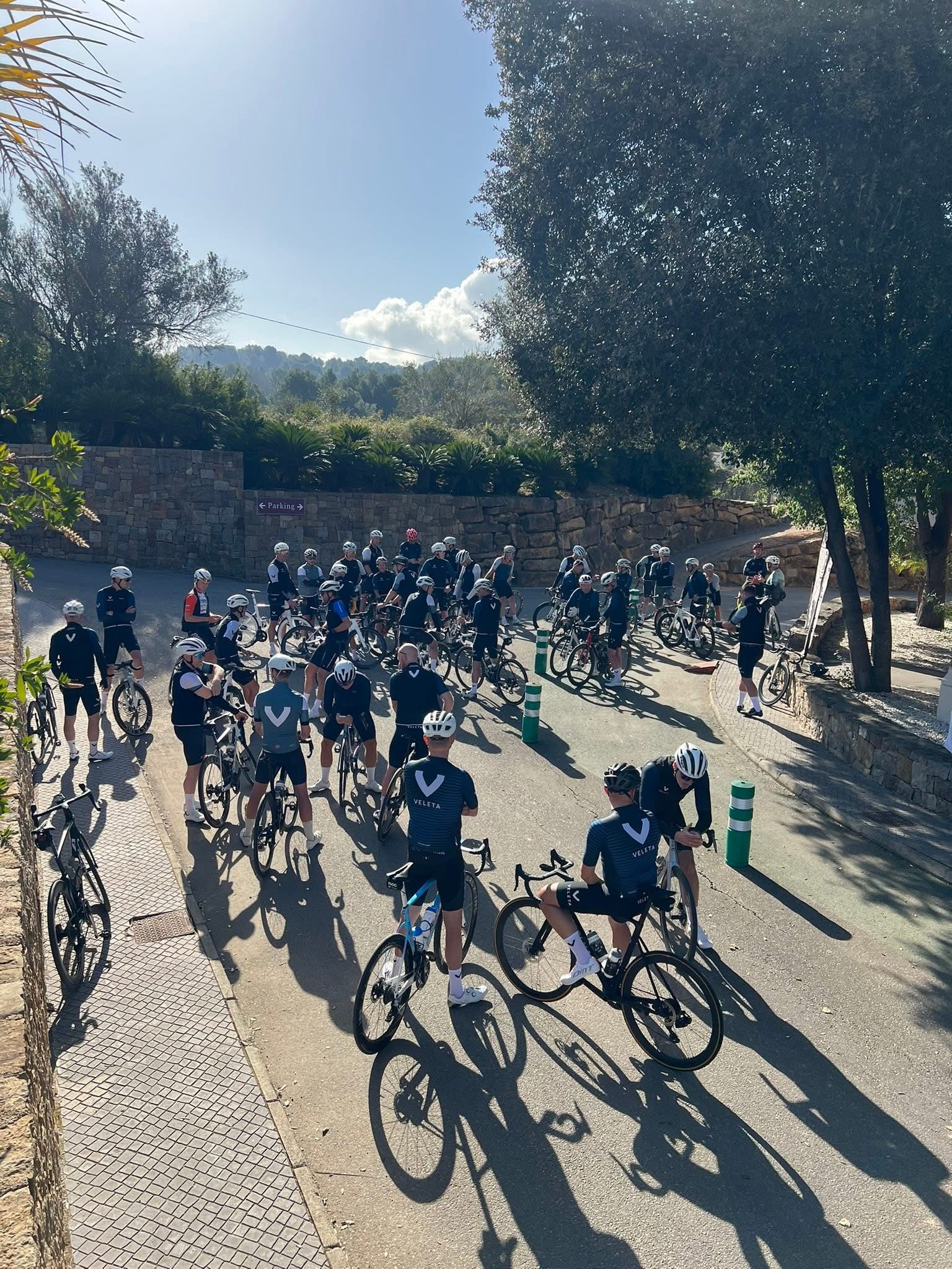IMG 0141