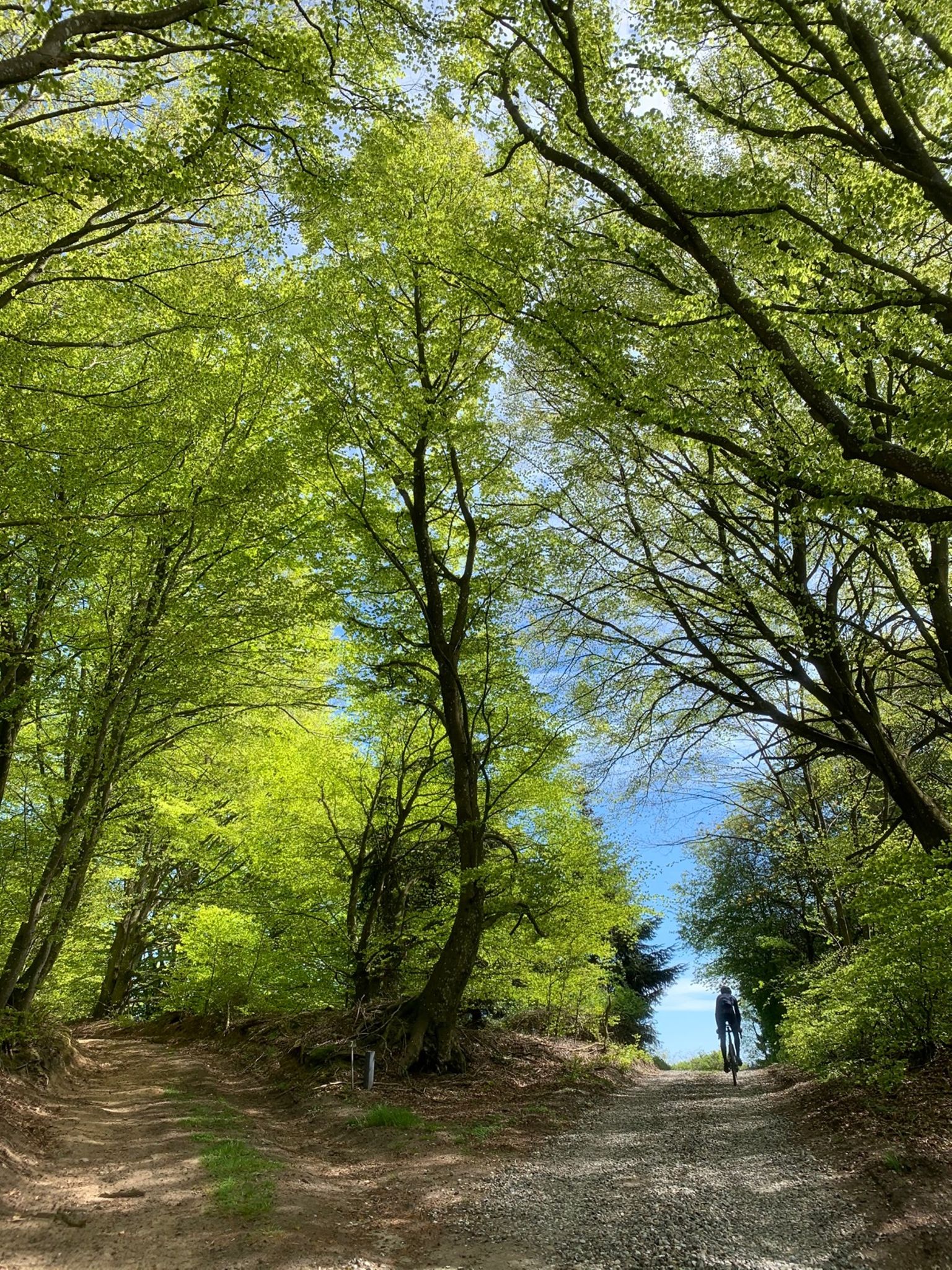 Bp2eccyhykznkma Opompbyvebpclcnwq59n4xg78dy 1536X2048